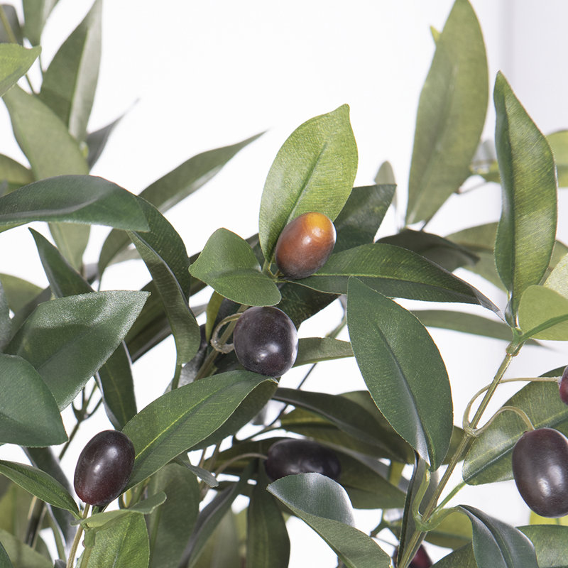 Plante d’huile dans un pot de fleurs