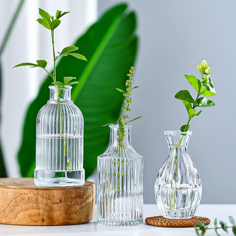 Ensemble de 18 vases en verre Brajttt
