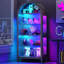 175cm H x 75cm W Modern Arched Glass Bookcase with RGB LED Lighting & Removable Shelves-242799217