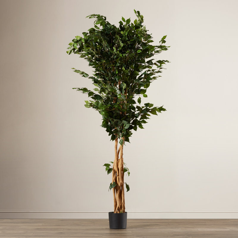 Ficus artificiel 72 po en pot