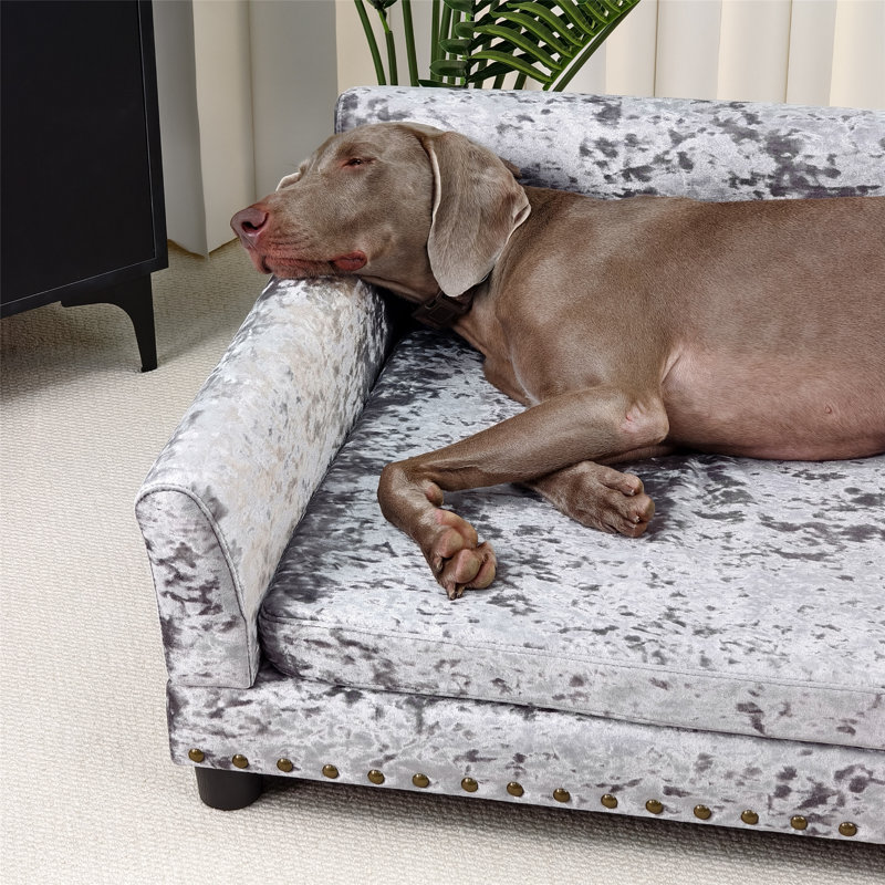 Canapé pour chien, L 47,2 po x P 29 po x H 16 po