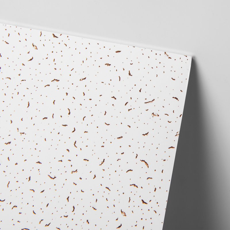10 pièces de tuile de plafond rectangulaire en PVC 2 pi x 4 pi, panneau mural lisse (80 pieds carrés / caisse)