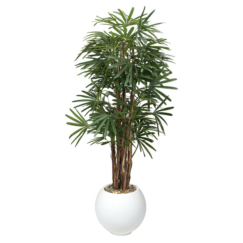 Jardinière 7 'Lady Palm en blanc Porter