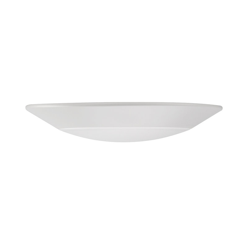 Lughaidh Acrylic LED Flush Mount