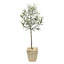 Olive artificielle en pot-675022560