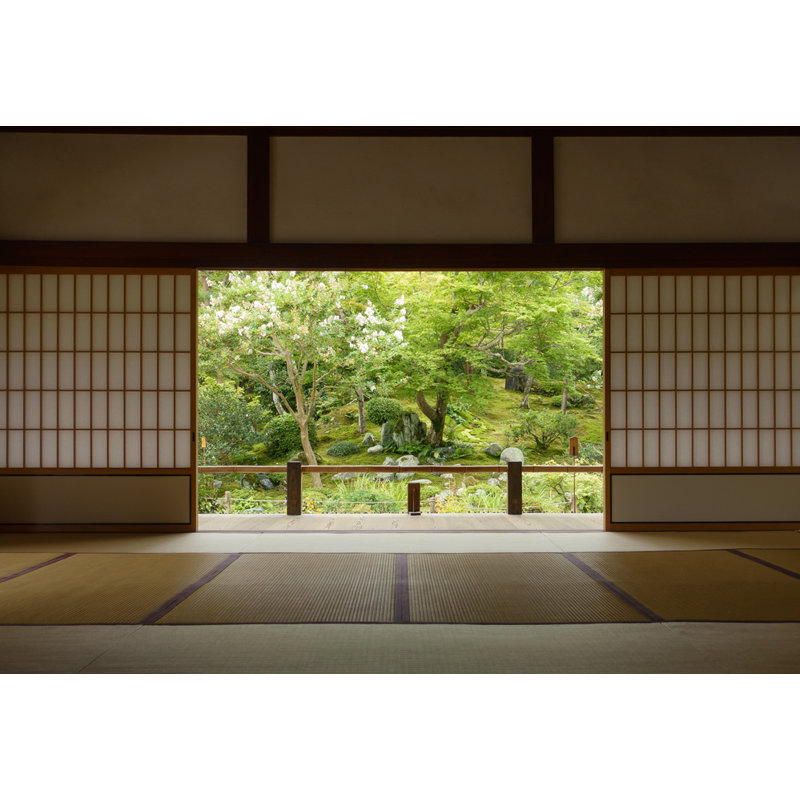 Wrapped Canvas Print, 50.8 cm H x 76.2 cm W