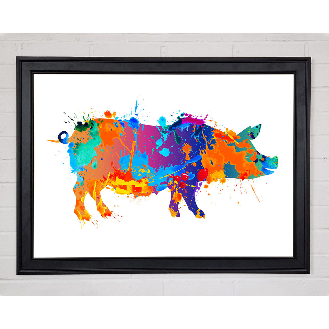 Colour Splash Pig Gerahmter Druck