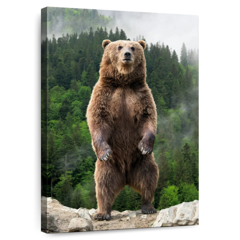 Ukrainian Brown Bear, 45" H x 30" W