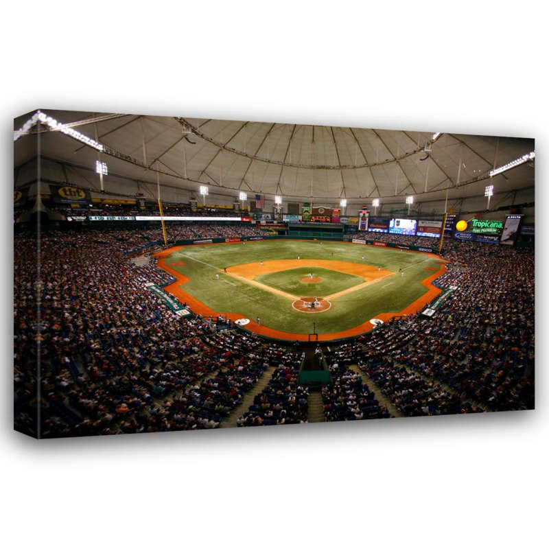 Tropicana Field, 16" H x 24" W