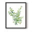 Eucalyptus III, reproduction encadrée - bois massif-1564047310-1564047306