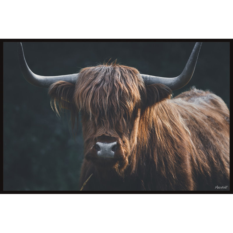 Thick Horns by Marmont Hill - Painting, 61cm H x 91cm W, Canvas