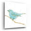 Art mural en verre Gilded Bird 1 Teal »par Shirley Novak-937544363