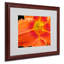 « orange day lily » par kathie mccurdy,, reproduction de photo encadrée-10587772-10587771