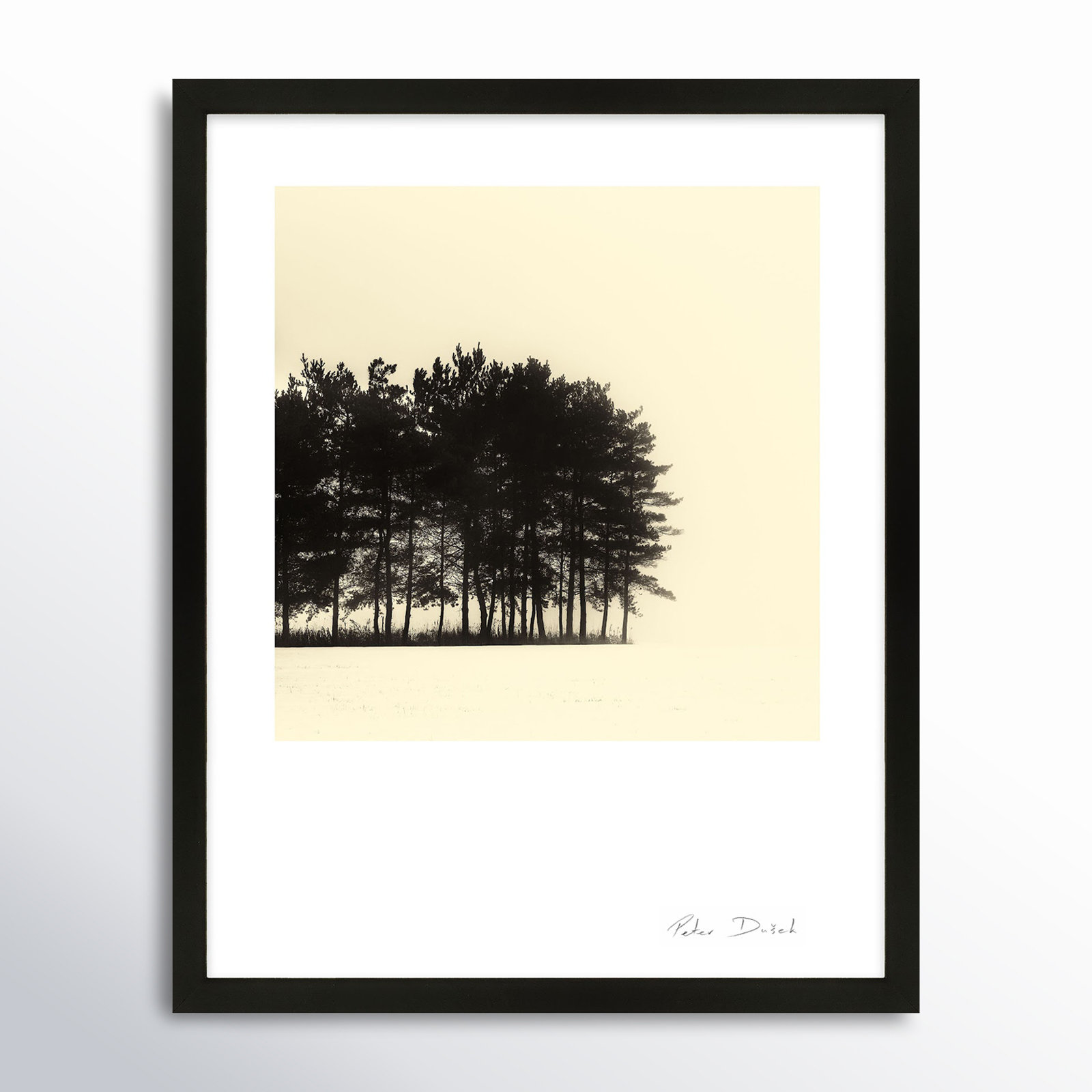 Garden Sign "Copse" Print by Peter Dušek, Black, 25" H x 20" W x 1.25" D