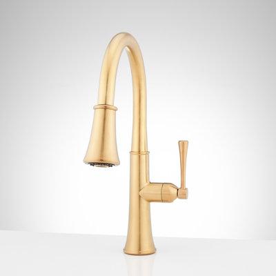 Perdita Pull-Down Kitchen Faucet