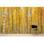 Murale automne-498629897