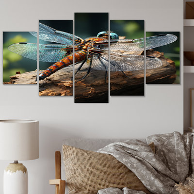 Teal Dragonfly Portrait II Animals Wall Decor on Metal