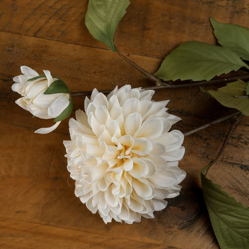 Anastasija Arrangement, White