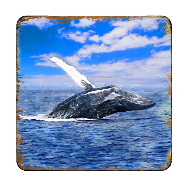 Côte de baleine