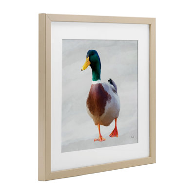 Mallard Duck Squawking Framed Print Under Glass, design by Renel Peters