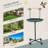 Bird Training Activity Playground With