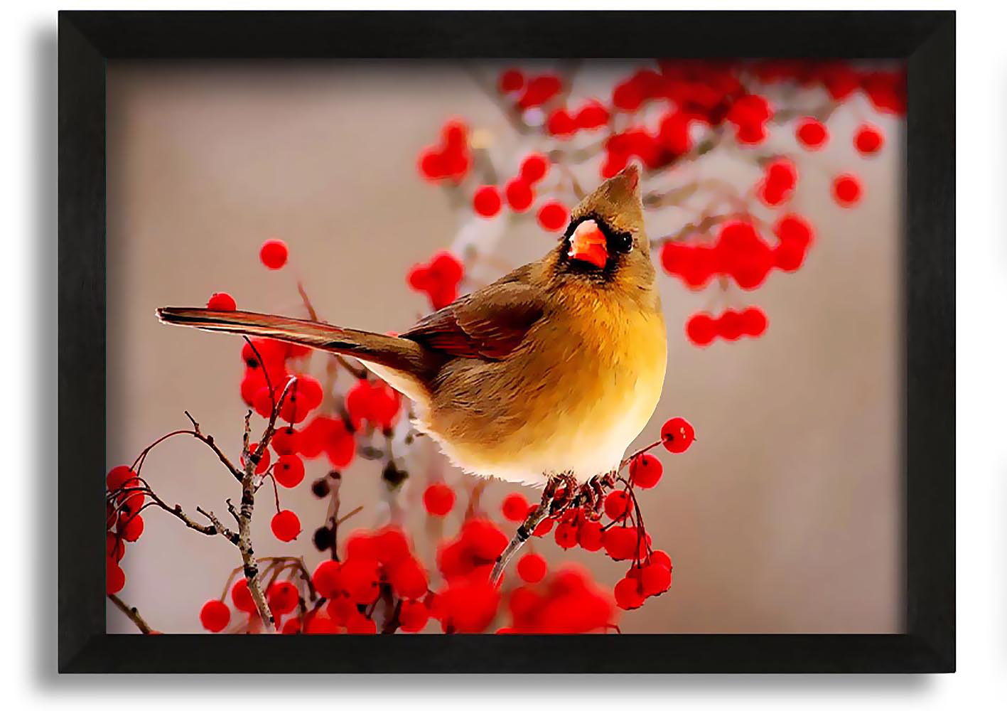 The Seasonal Aisle Garden Bird - Picture Frame Photograph on Canvas ...