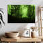 Forêt verte brumeuse-808771856