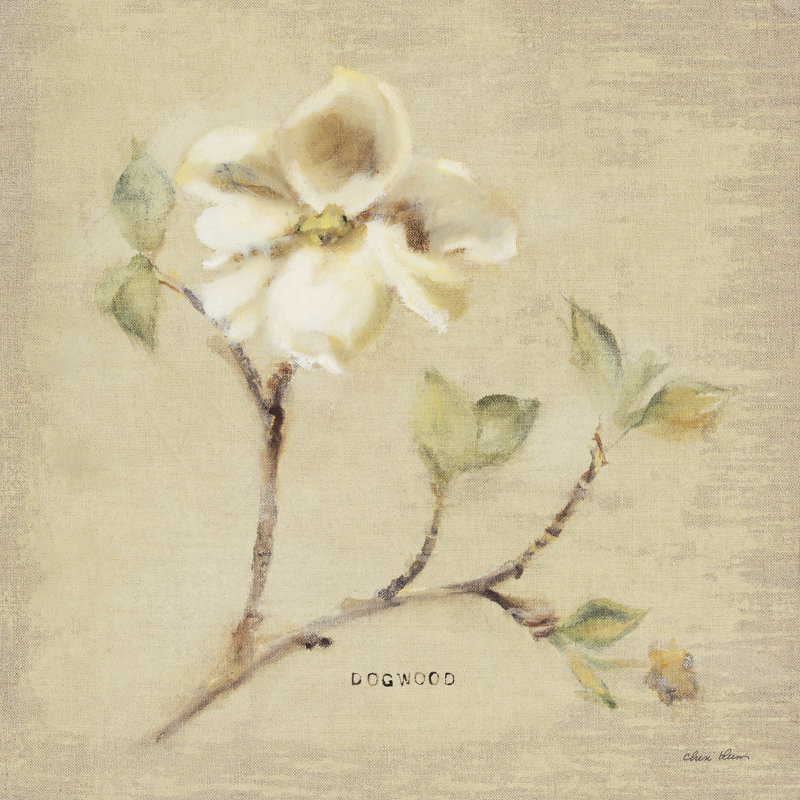 «Dogwood Blossom» par Cheri Blum, H 20 po x l 20 po x P 1,25 po, Imprimé avec cadre blanc, Non