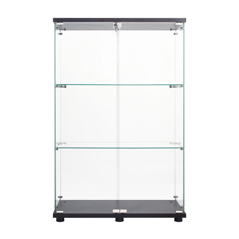 2 Door Glass Display Cabinet, Floor Standing Curio Bookshelf, 49.3" H x 16.7" W x 14.3" D, Black