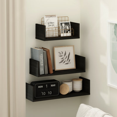 Meryn 3 Piece Wall Mounted Floating Shelf with Invisible Brackets