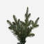 8.5" H Green Realistic Artificial Fir Christmas Tree with 1000 Lights LED Lights-1704475754