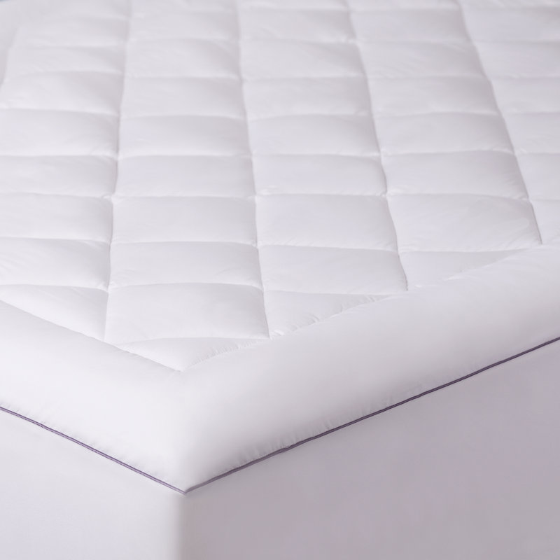 Munoz 1 in. Cotton Mattress Pad, California King
