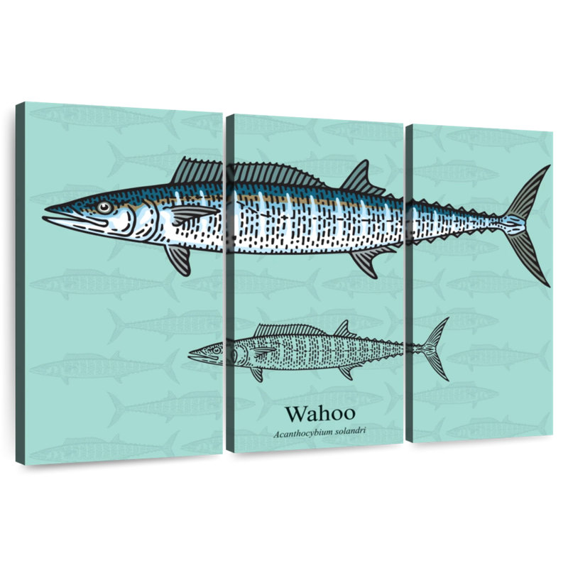 Brampt Wahoo Fish, 36" H x 57" W