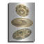 Art mural en métal luxueux «Woven Plates» par Stellar Design Studio, 12 po x 16 po-118904977