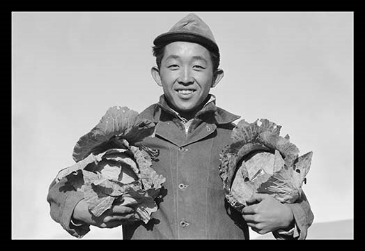 « richard kobayashi, cadence avec chous », reproduction de photo, H 28 po x l 42 po x P 1,5 po