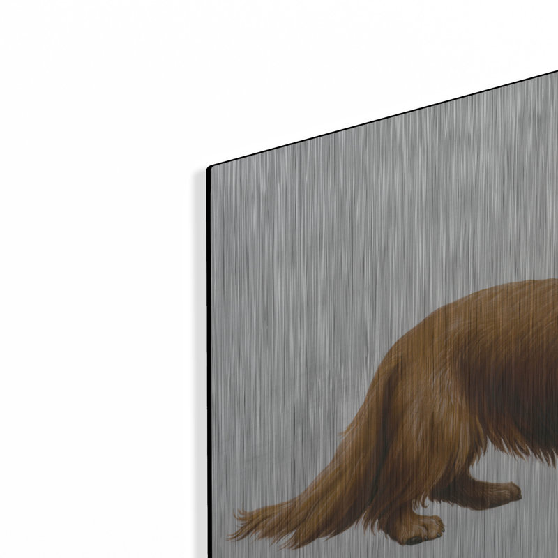 " Dachsund " by Harro Maass, 12" H x 16" W