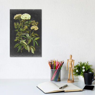 Bookplate Floral I by Naomi McCavitt - Wrapped Canvas Painting