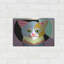 «Spectrum Cat» par Lanre Adefioyue-36107557