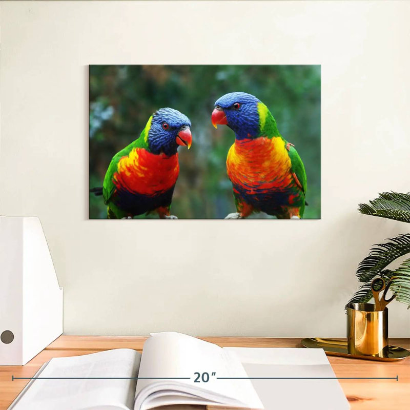 Brampt Lorikeet Buddies, 8" H x 12" W