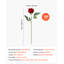 Rose Arrangement