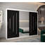 Arryonna 2 Door Manufactured Wood Wardrobe-2017506524
