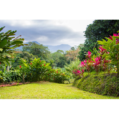 Jardin tropical - photographie sur toile tendue