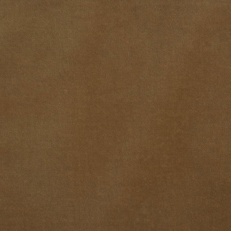 Rocky Performance Velvet Fabric, Hazel