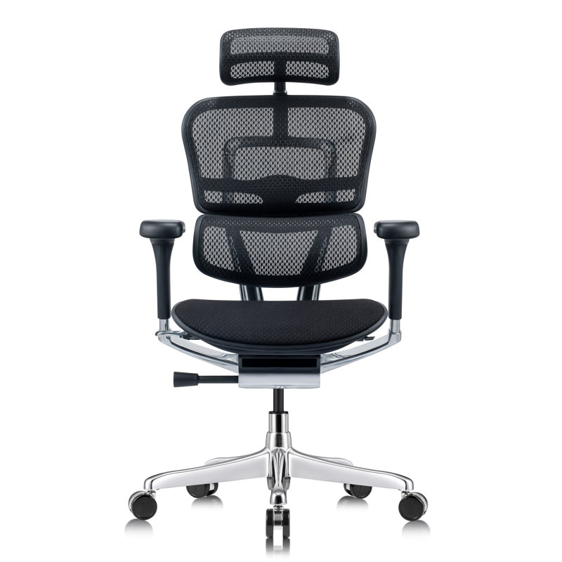 Fauteuil de bureau ergonomique Tempur-Pedic Ergohuman Gen2, Noir