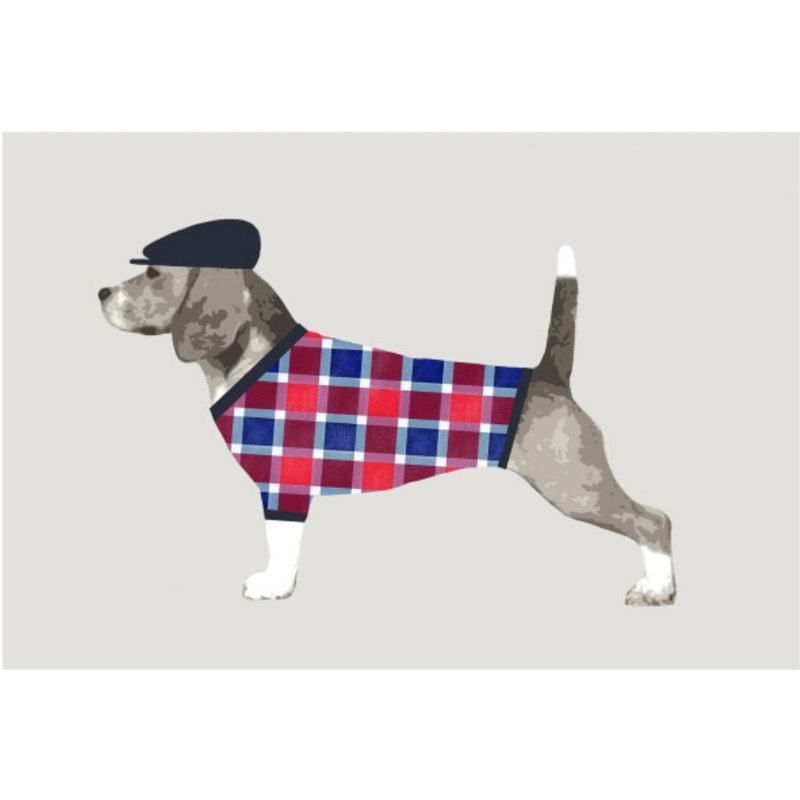 Asher Print by Emma Brooks, Matte