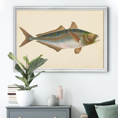 " Donovan Antique Fish III "