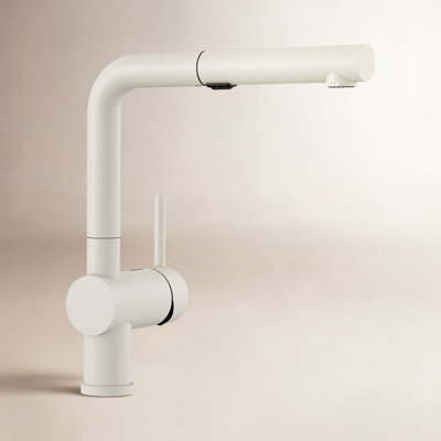 Linus Low Arc Pull-Out Kitchen Faucet