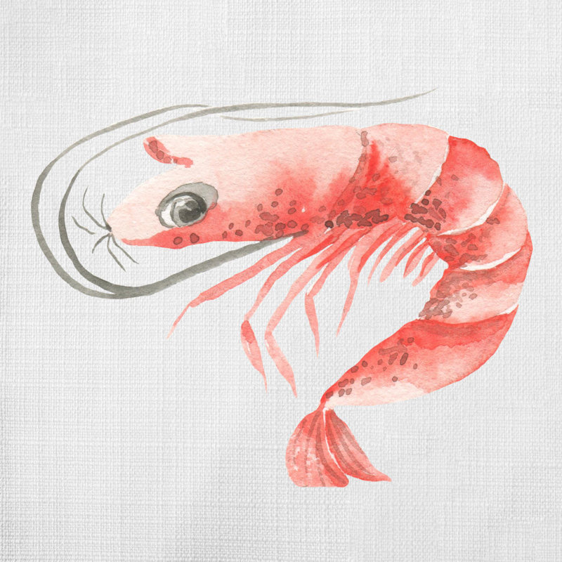 Coussin Calah, H 18 po x l 18 po