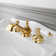 2-handle Bathroom Faucet with Drain Assembly