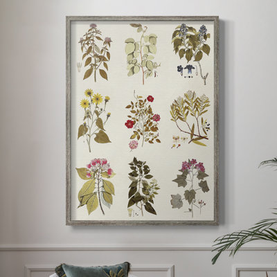 Antique Floral Grid I Framed Print - Solid Wood